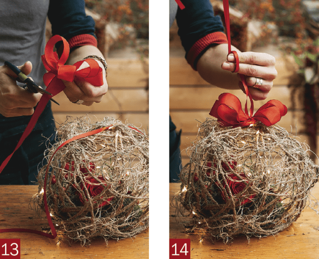 sfera natale 4 sfera natale 4