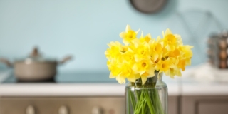 Narcisi a Natale Narcisi a Natale