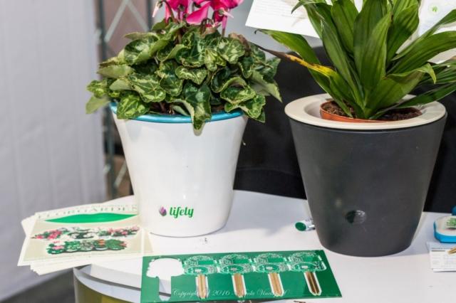 Lifely_Agrumino_Tomappo novità CES 2019 Lifely_Agrumino_Tomappo novità CES 2019