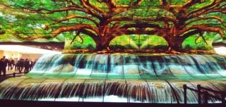 Installazione LG OLED Falls al CES 2019