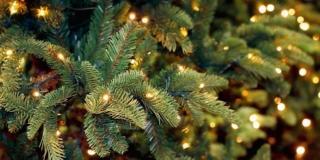 Conservare l’albero di Natale fino al prossimo anno