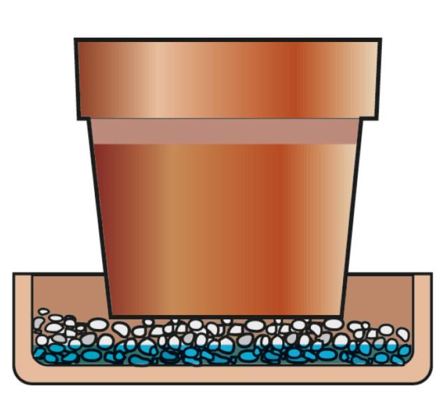 Per evitare problemi con la gardenia fiorita, si mantenga umidità intorno al vaso riempiendo il sottovaso con uno strato di argilla o ghiaia di 2-3 cm che consenta di lasciare una riserva d’acqua costante il cui livello non arrivi a diretto contatto con il vaso stesso. Per evitare problemi con la gardenia fiorita, si mantenga umidità intorno al vaso riempiendo il sottovaso con uno strato di argilla o ghiaia di 2-3 cm che consenta di lasciare una riserva d’acqua costante il cui livello non arrivi a diretto contatto con il vaso stesso.