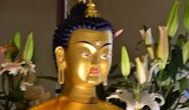 I volti del Buddha dal perduto Museo Indiano di Bologna I volti del Buddha dal perduto Museo Indiano di Bologna
