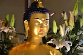 I volti del Buddha dal perduto Museo Indiano di Bologna I volti del Buddha dal perduto Museo Indiano di Bologna