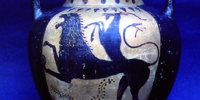 Il viaggio della chimera Il viaggio della chimera