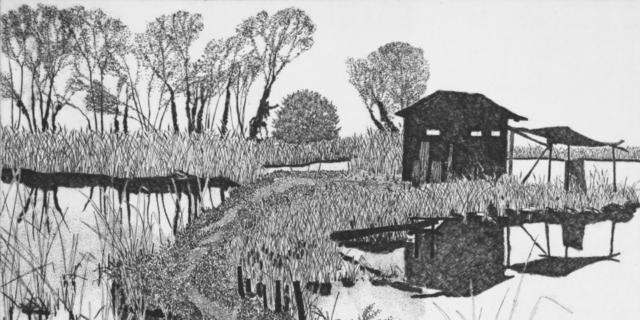 Milano MuseoCity 2019: il rapporto tra arte e natura Milano MuseoCity 2019: il rapporto tra arte e natura