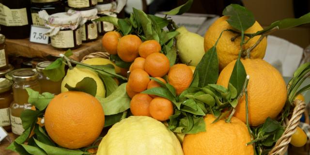 AgruMI. Grande fiera degli agrumi. Storie, saperi e sapori AgruMI. Grande fiera degli agrumi. Storie, saperi e sapori