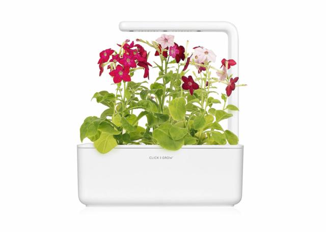 Vasca di crescita piante con luce SMART GARDEN CLICK&GROW MORONI-GOMMA Vasca di crescita piante con luce SMART GARDEN CLICK&GROW MORONI-GOMMA