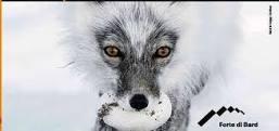 Wildlife Photographer of the Year Wildlife Photographer of the Year