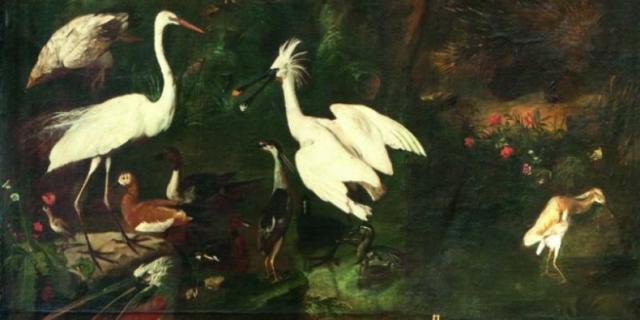 Il meraviglioso mondo della natura. Una favola tra arte, mito e scienza Il meraviglioso mondo della natura. Una favola tra arte, mito e scienza