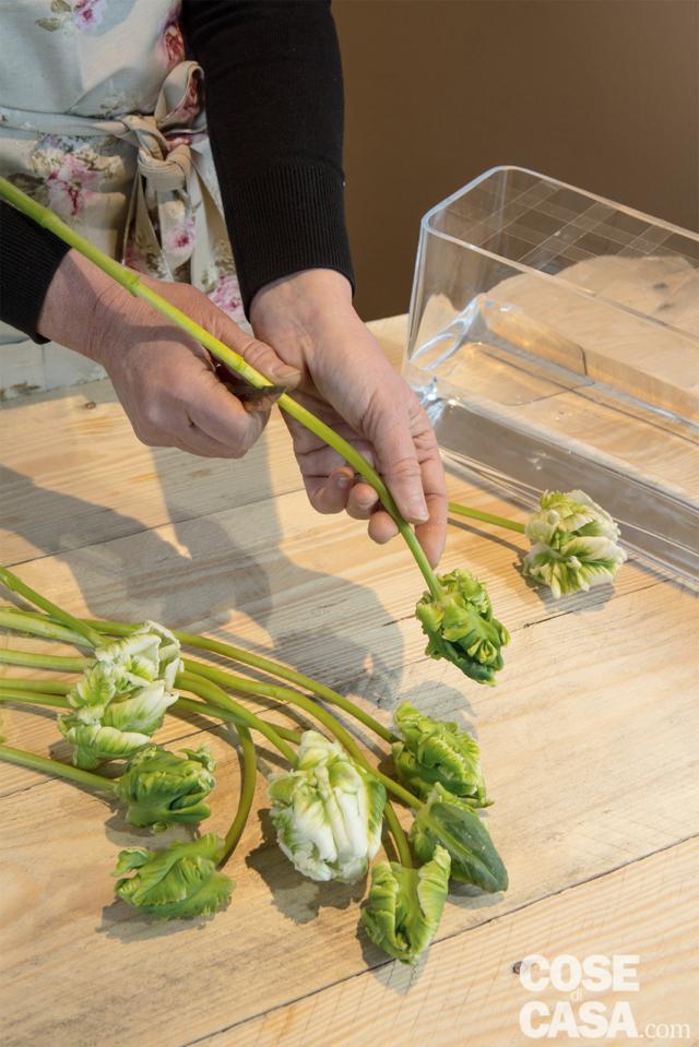 3 Eliminare tutte le foglie dai tulipani con delicatezza per non rompere gli steli. Misurare l’altezza alla quale recidere gli steli, ricordandovi che non devono appoggiare sul fondo del vaso ma restare sospesi. Con un coltellino affilato e tenuto a 45 gradi, recidere, uno per uno, gli steli. 3 Eliminare tutte le foglie dai tulipani con delicatezza per non rompere gli steli. Misurare l’altezza alla quale recidere gli steli, ricordandovi che non devono appoggiare sul fondo del vaso ma restare sospesi. Con un coltellino affilato e tenuto a 45 gradi, recidere, uno per uno, gli steli.