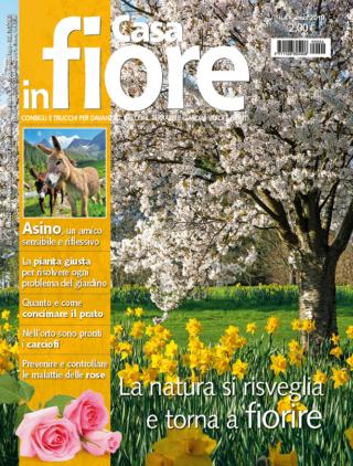 CIF04_cover CIF04_cover