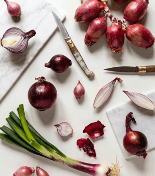 Food Design Stories - Espi Design - Brera Design District - Fuorisalone 2019