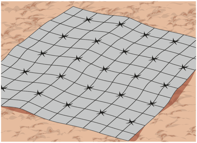 Prima di mettere a dimora le piantine, è necessario preparare le aiuole con il telo pacciamante. Questo è molto utile nell’orto, principalmente per due motivi: aiuta a mantenere il giusto livello di umidità del terreno, limitando l’evaporazione dell’acqua (con notevole risparmio idrico) e ostacola la crescita delle erbe infestanti (una grande scocciatura nell’orto). Il telo (che si può acquistare sempre preso un centro giardinaggio), va disteso sul terreno e fissato con picchetti. Con l’aiuto di un taglierino ben affilato, si esegue un’incisione a “x” sul telo, in corrispondenza del punto in cui si vuole mettere a dimora la piantina. A questo proposito, i teli pacciamanti quadrettati sono più comodi per sistemare le piantine con maggior precisione. Prima di mettere a dimora le piantine, è necessario preparare le aiuole con il telo pacciamante. Questo è molto utile nell’orto, principalmente per due motivi: aiuta a mantenere il giusto livello di umidità del terreno, limitando l’evaporazione dell’acqua (con notevole risparmio idrico) e ostacola la crescita delle erbe infestanti (una grande scocciatura nell’orto). Il telo (che si può acquistare sempre preso un centro giardinaggio), va disteso sul terreno e fissato con picchetti. Con l’aiuto di un taglierino ben affilato, si esegue un’incisione a “x” sul telo, in corrispondenza del punto in cui si vuole mettere a dimora la piantina. A questo proposito, i teli pacciamanti quadrettati sono più comodi per sistemare le piantine con maggior precisione.