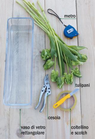 tulipani-occorrente tulipani-occorrente