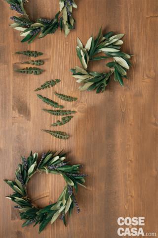 ulivo-e-lavanda-10 ulivo-e-lavanda-10