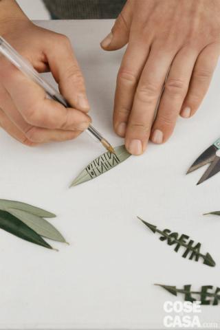 ulivo-e-lavanda-8 ulivo-e-lavanda-8