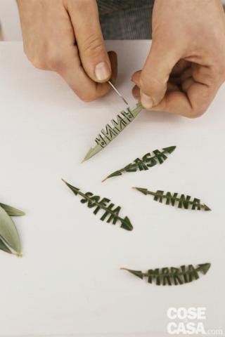 ulivo-e-lavanda-9 ulivo-e-lavanda-9