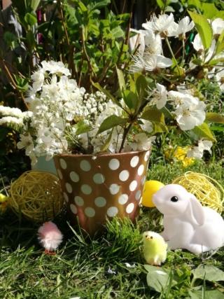 Amb Vasetto (2) Amb Vasetto (2)