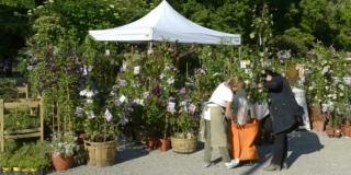 Come fare buoni acquisti alle mostre mercato di giardinaggio