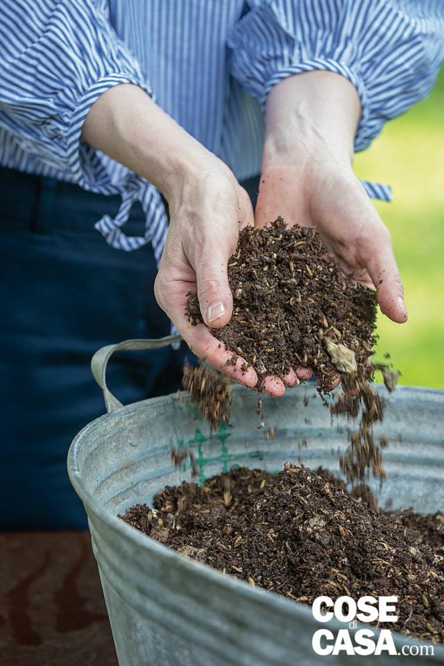 composizione di primavera, mettere la terra nel catino composizione di primavera, mettere la terra nel catino