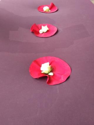 thumbnail_IMG_20190413_1159032 thumbnail_IMG_20190413_1159032