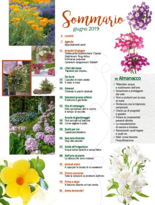 CIF06-sommario CIF06-sommario