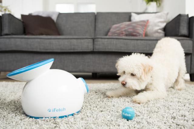 iFetch Dispositivo Gioco Tech Animali Domestici Lancia Palline Automatico iFetch Dispositivo Gioco Tech Animali Domestici Lancia Palline Automatico