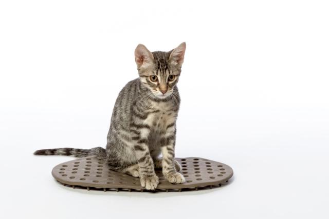 Bama_Comfort Cuscino Animali Domestici Bama_Comfort Cuscino Animali Domestici