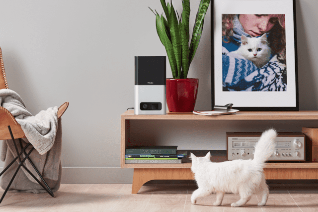 Petcube Petcube Bites Videocamere Wi-Fi Animali Domestici Controllo da Remoto Petcube Petcube Bites Videocamere Wi-Fi Animali Domestici Controllo da Remoto