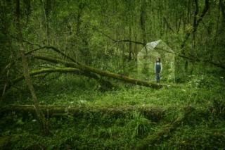 VELUX Indoor Generation