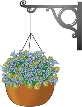 campanule-2 campanule-2