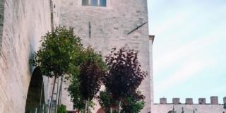 Todi fiorita 2019 Todi fiorita 2019