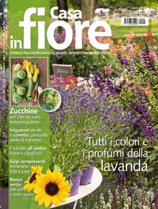 CIF07_cover CIF07_cover