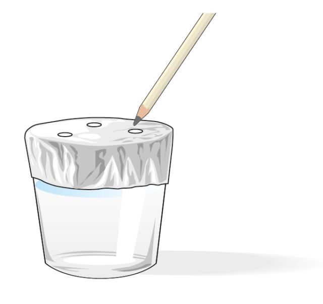 Sistemare un foglio di pellicola di alluminio da cucina sopra un bicchiere largo, riempito per metà di acqua. Praticare tre fori sottili con uno stecchino Sistemare un foglio di pellicola di alluminio da cucina sopra un bicchiere largo, riempito per metà di acqua. Praticare tre fori sottili con uno stecchino