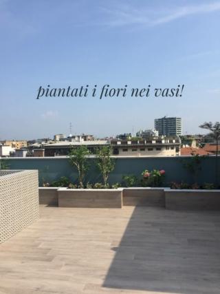 vasi con piante vasi con piante