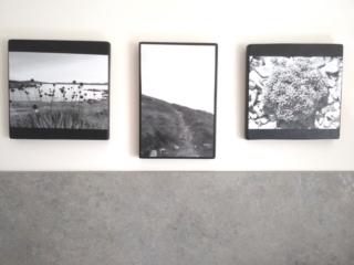 PORTAFOTO LEGNO 9b bis