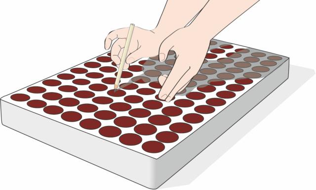 Inserire un seme per ogni spaziodel semenzaio e con l’aiuto di una matita Inserire un seme per ogni spaziodel semenzaio e con l’aiuto di una matita