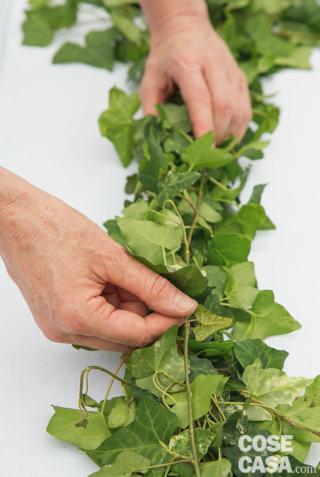 1. Prendere le sommità di 6 tralci di Hedera e fissarli insieme tra loro, legandoli con il filo di ferro. Procedere legando nuovi tralci uniti in gruppetti di 6 alla sommità dei tralci precedenti, fino a formare una ghirlanda che dovrà percorrere tutta la lunghezza del tavolo, fino a toccare terra.