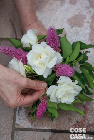 6. Nelle altre due coppette inserire 8 Rosa ‘Iceberg’, ben distanziate e distribuite, alcune in alto, altre in basso, evitando di lasciare grandi spazi vuoti, quindi, con lo stesso criterio, 8 Spiraea billardii.