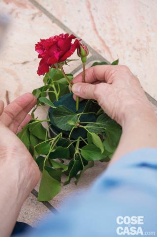 4. In due coppette inserire 3 Rosa ‘Deep impression’, ben distanziate e distribuite, intervallandole con 4 Rosa ‘Jacques Cartier’ nella prima e 4 Rosa ‘The Generous Gardner’ nella seconda. Gli steli dei fiori devono essere tagliati corti a 45° e devono essere introdotti inclinati.