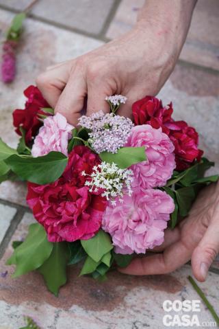 5. Completare inserendo Centranthus e Achillea negli spazi vuoti, lasciandoli leggermente rialzati rispetto alle rose e cercando di distribuire colori e forme.