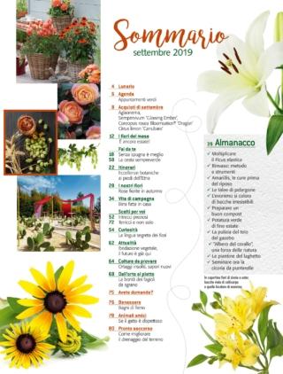 CIF09_sommario CIF09_sommario