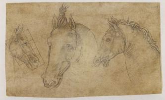 Intorno a Leonardo. Opere grafiche dalle collezioni milanesi Intorno a Leonardo. Opere grafiche dalle collezioni milanesi