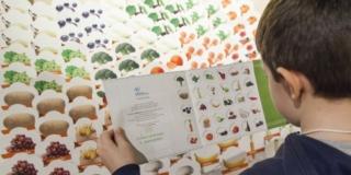 Io vivo sano. Alimentazione e DNA Io vivo sano. Alimentazione e DNA