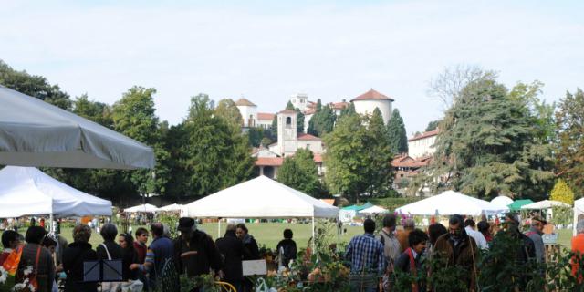 Tre giorni per il giardino edizione Autunno Tre giorni per il giardino edizione Autunno
