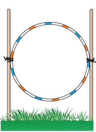 cerchio percorso agility dog