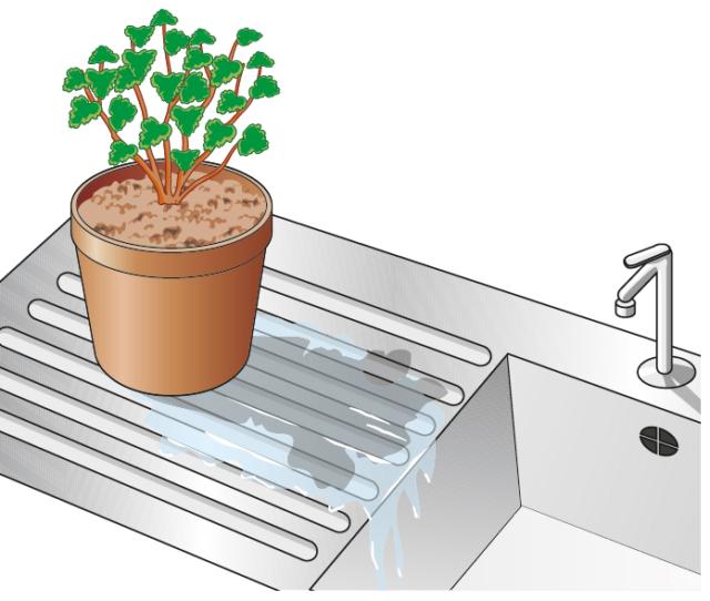 Una volta estratto il vaso dall’acqua lo si lasci scolare in modo che tutta quella in eccesso defluisca. Una volta estratto il vaso dall’acqua lo si lasci scolare in modo che tutta quella in eccesso defluisca.