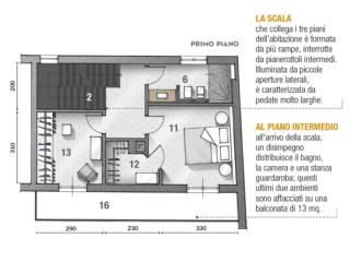 pianta-primo-piano pianta-primo-piano
