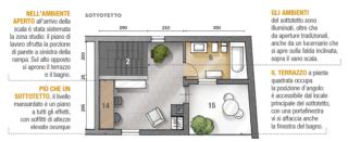 pianta-sottotetto pianta-sottotetto